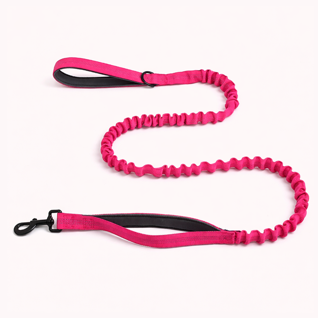 🎁 Free SENIUM Elastic Leash