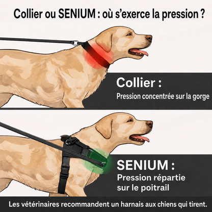 SENIUM – No-Pull Dog Harness