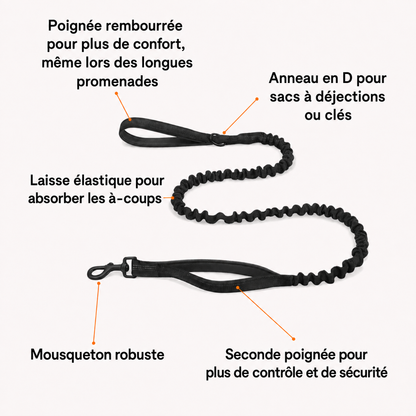 SENIUM – No-Pull Dog Harness