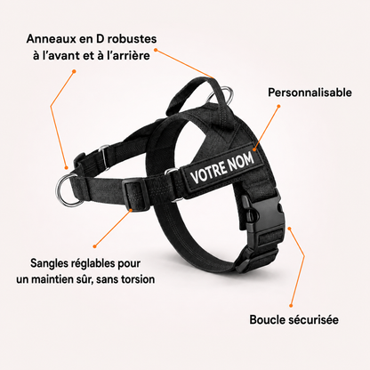 SENIUM – No-Pull Dog Harness