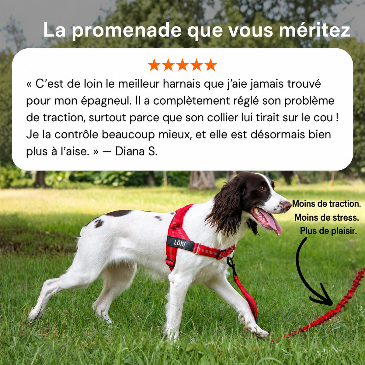 SENIUM – No-Pull Dog Harness