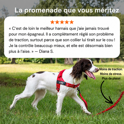 SENIUM – No-Pull Dog Harness